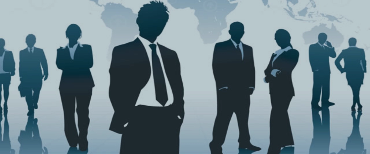 The Investment Law No. (13) of 2006, as amended