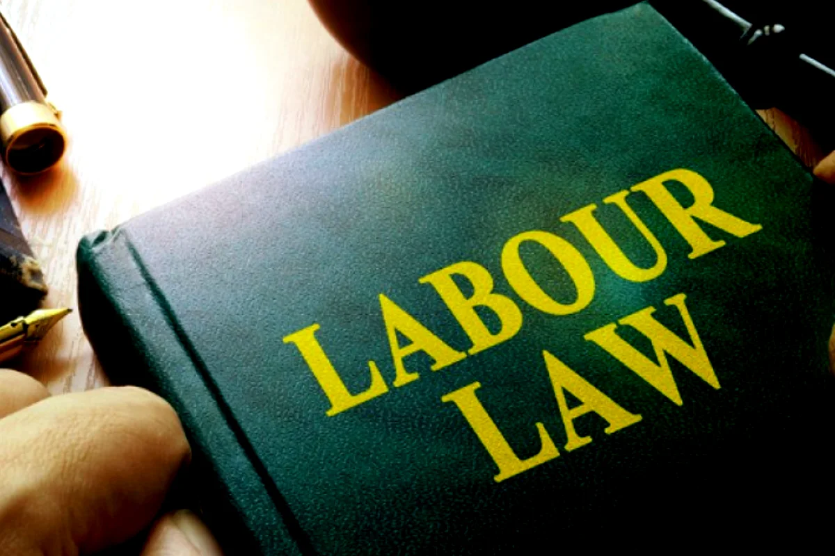 Workers' Rights in Iraqi Labor Law